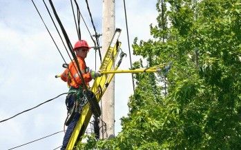 Travaux de végétation nécessaires à l’entretien des lignes électriques HTB