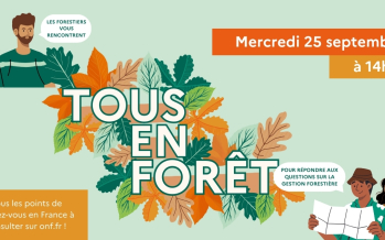 Tous en Forêt 2024