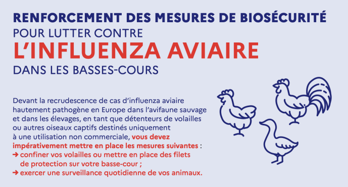 Influenza aviaire, mesures de protection des basses-cours et des exploitations