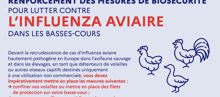 Influenza aviaire, mesures de protection des basses-cours et des exploitations